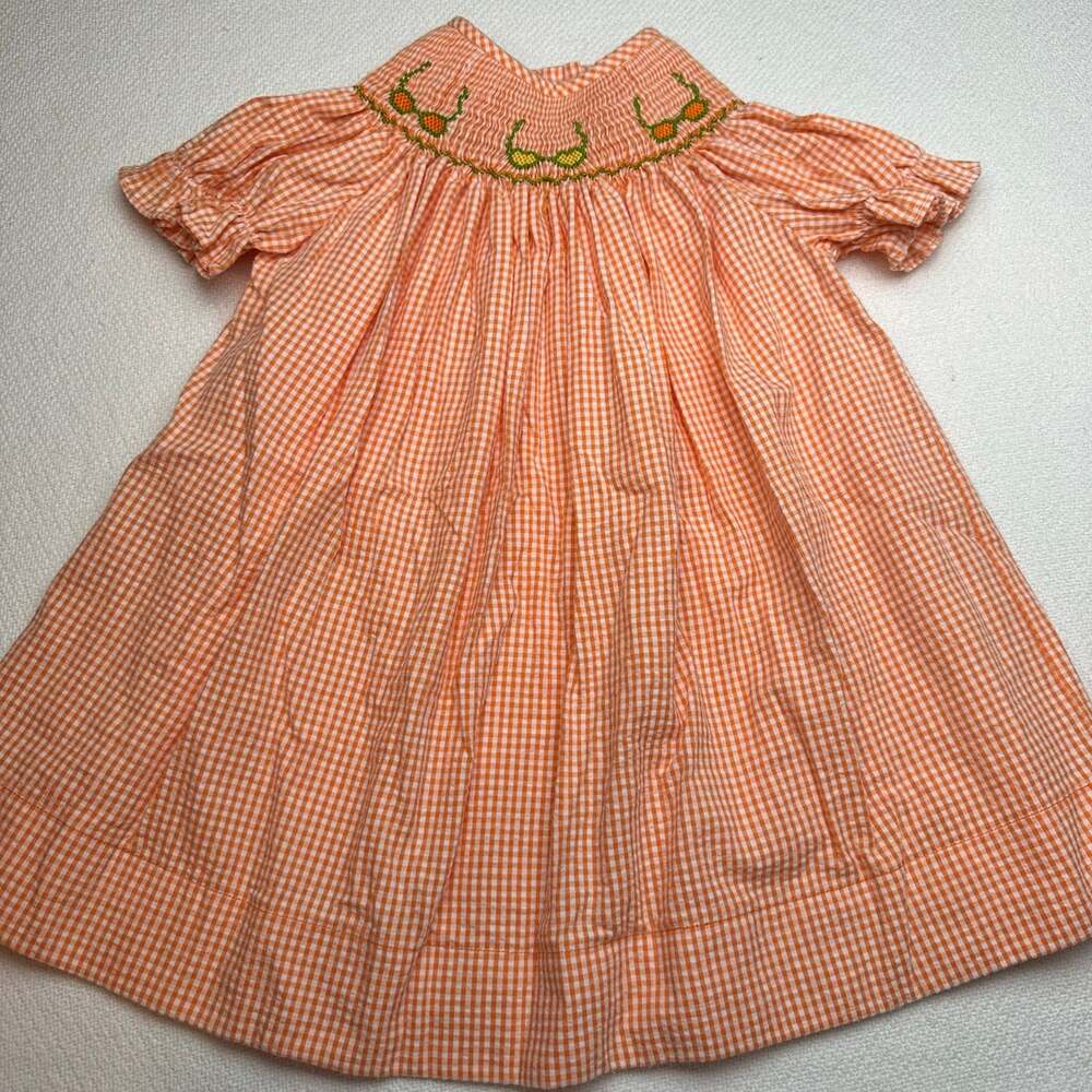 Silly goose girls 18 months orange gingham smocked dress